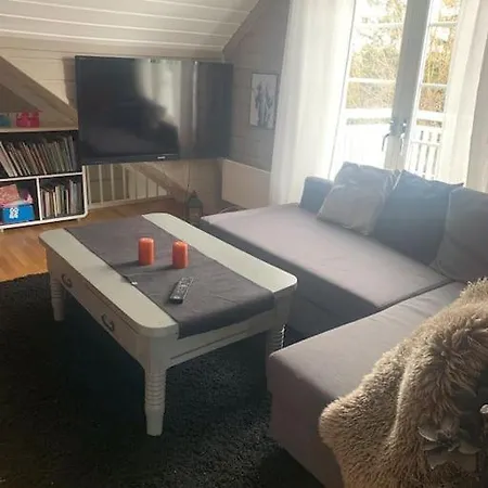 Trivelig Med Innendors Peis Fredrikstad
